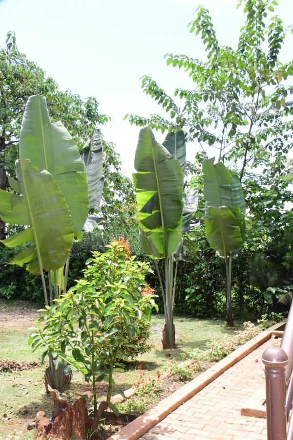 Golden Cherries Guest House Jinja Exterior foto