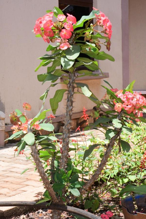 Golden Cherries Guest House Jinja Exterior foto